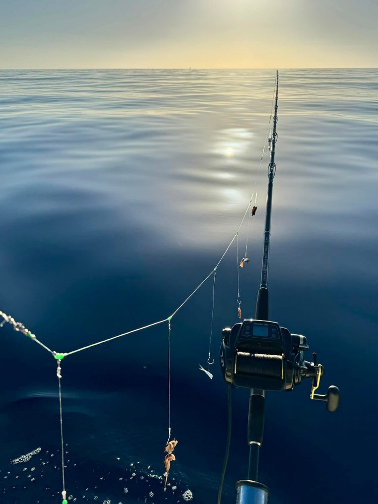 Bolentino di profondità