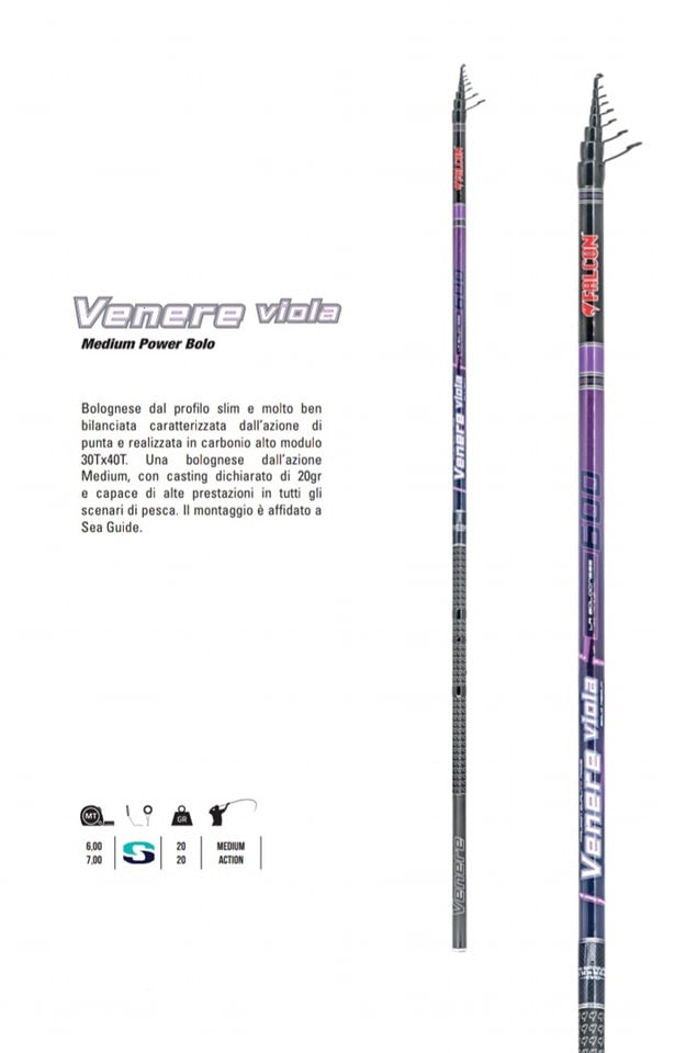 Venere Viola Falcon