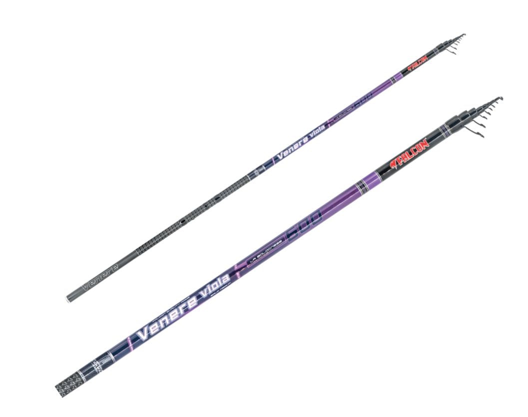 Venere Viola Falcon