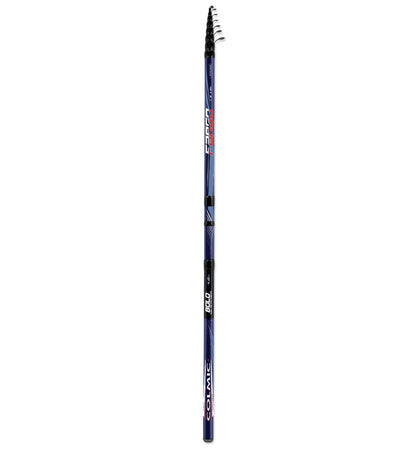 Fargo match 4,10mt 5-80gr Colmic